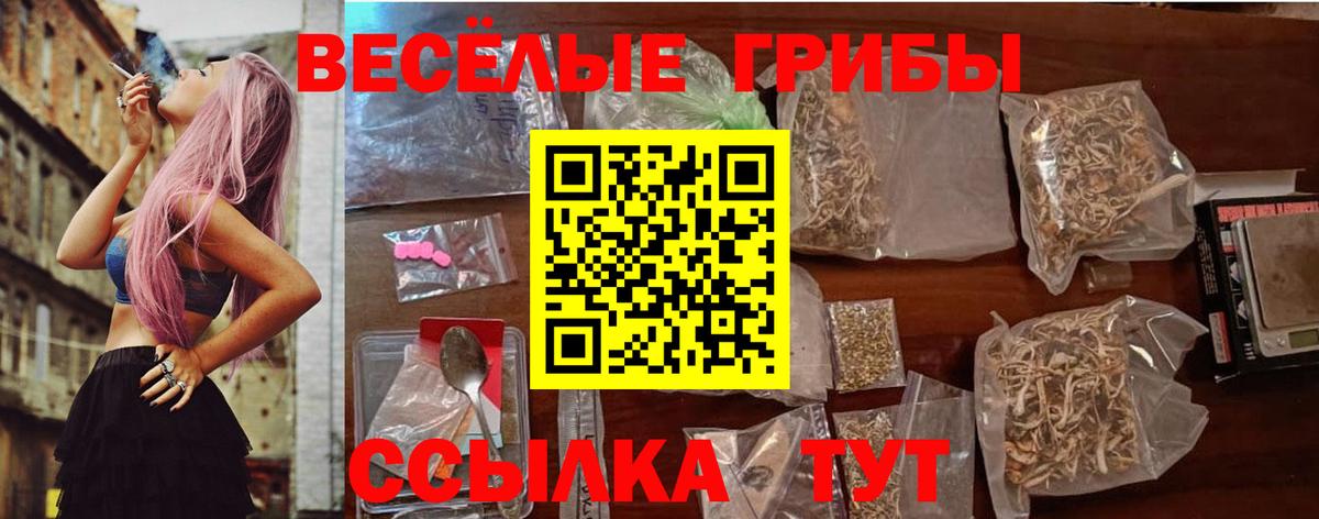Галлюциногенные грибы Cubensis  наркошоп  Белово  Вход с VPN 