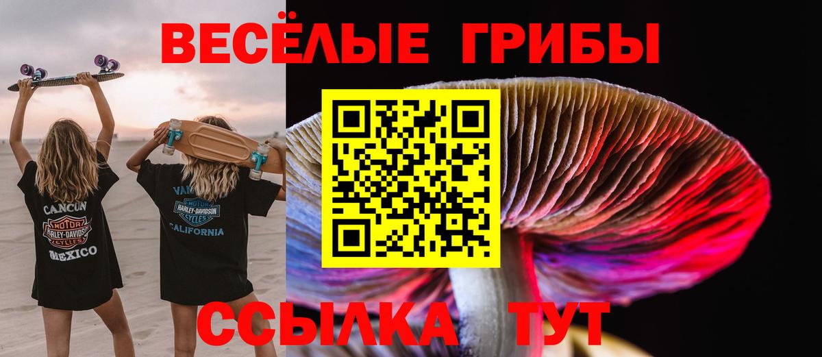 Галлюциногенные грибы MAGIC MUSHROOMS Белово